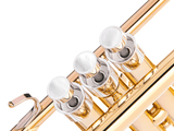 Trumpet MEDIUM Trim kit. KGUmusic