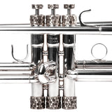 Trumpet Honey 3D ARTISTIC series Trim Kit. KGUmusic