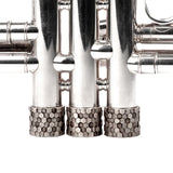 Trumpet Honey 3D ARTISTIC series Trim Kit. KGUmusic