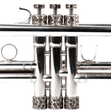 Trumpet Honey 3D ARTISTIC series Trim Kit. KGUmusic