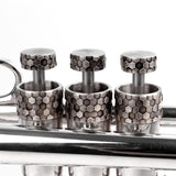 Trumpet Honey 3D ARTISTIC series Trim Kit. KGUmusic