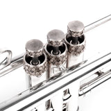 Trumpet Honey 3D ARTISTIC series Trim Kit. KGUmusic