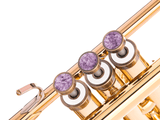 Trumpet LIGHT Trim kit. KGUmusic