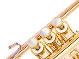 Trumpet LIGHT Trim kit. KGUmusic