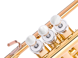 Trumpet LIGHT Trim kit. KGUmusic