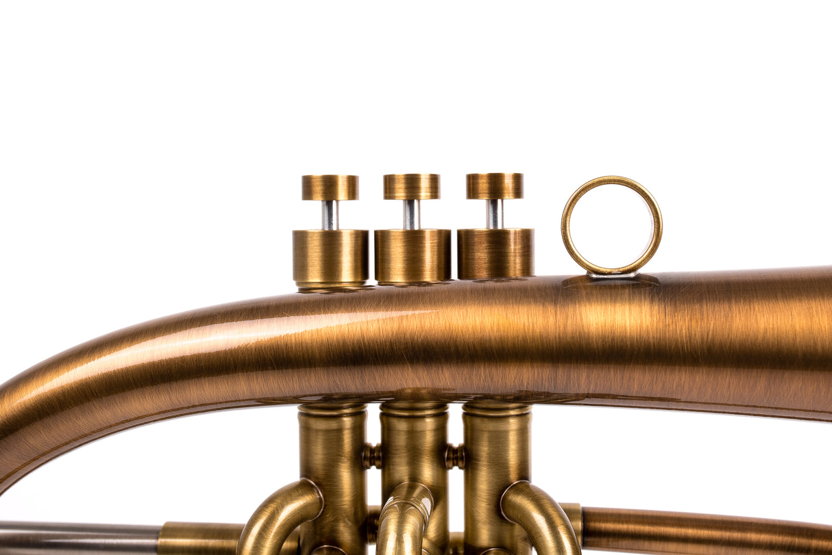 Flugelhorn by KGUmusic (Ukraine) & Andy Taylor (UK)