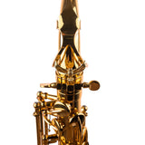 Saxophone ArtTone Booster - Owl Design