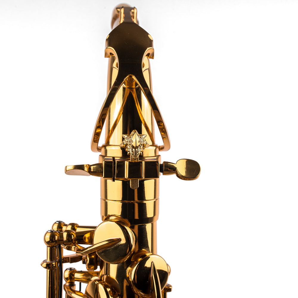 アート・デザイン・音楽 ultimate collection for alto sax Saxophone ArtTone Booster - Dragon Design – KGUmusic