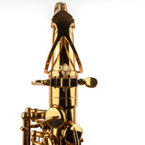 Saxophone ArtTone Booster - Dragon Design