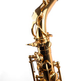 Saxophone ArtTone Booster - Bird Design