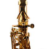 Saxophone ArtTone Booster - Panther Design