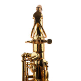 Saxophone ArtTone Booster - Bird Design