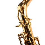 Saxophone ArtTone Booster - Dragon Design