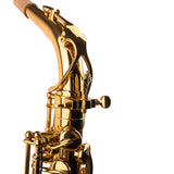 Saxophone ArtTone Booster - Feather Design