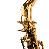 Saxophone ArtTone Booster - Phoenix Bird Design