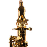 Saxophone ArtTone Booster - Phoenix Bird Design