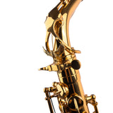 Saxophone ArtTone Booster - Owl Design