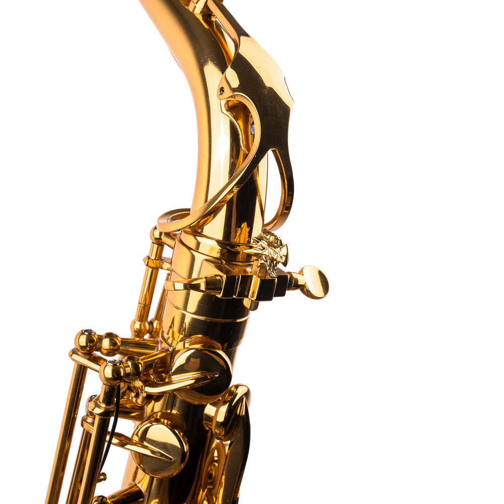 Saxophone ArtTone Booster - Dragon Design