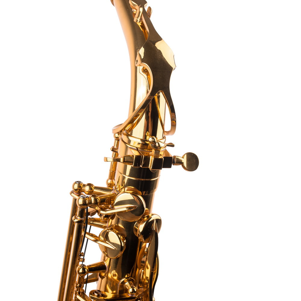 Saxophone ArtTone Booster - Bird Design