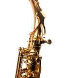 Saxophone ArtTone Booster - Bird Design