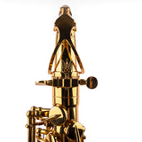Saxophone ArtTone Booster - Trident Design