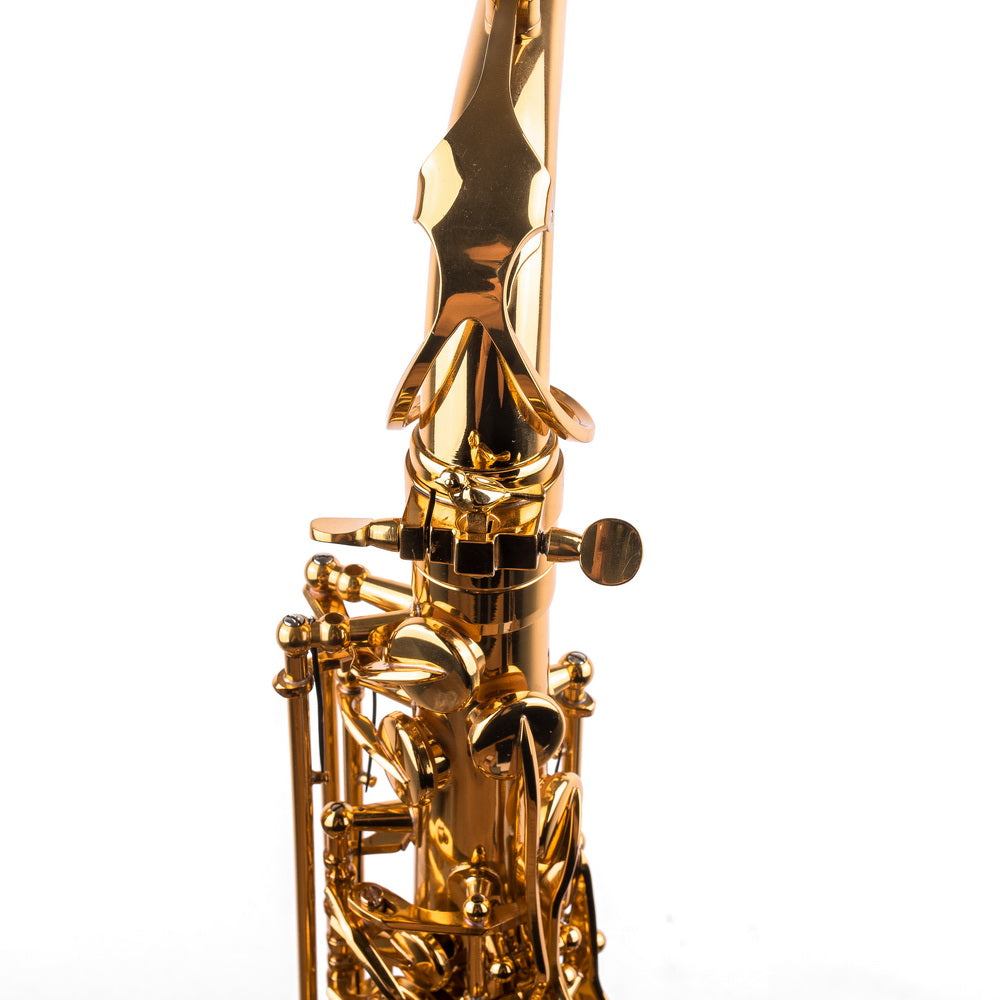 Saxophone ArtTone Booster - Bird Design