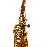 Saxophone ArtTone Booster - Bird Design