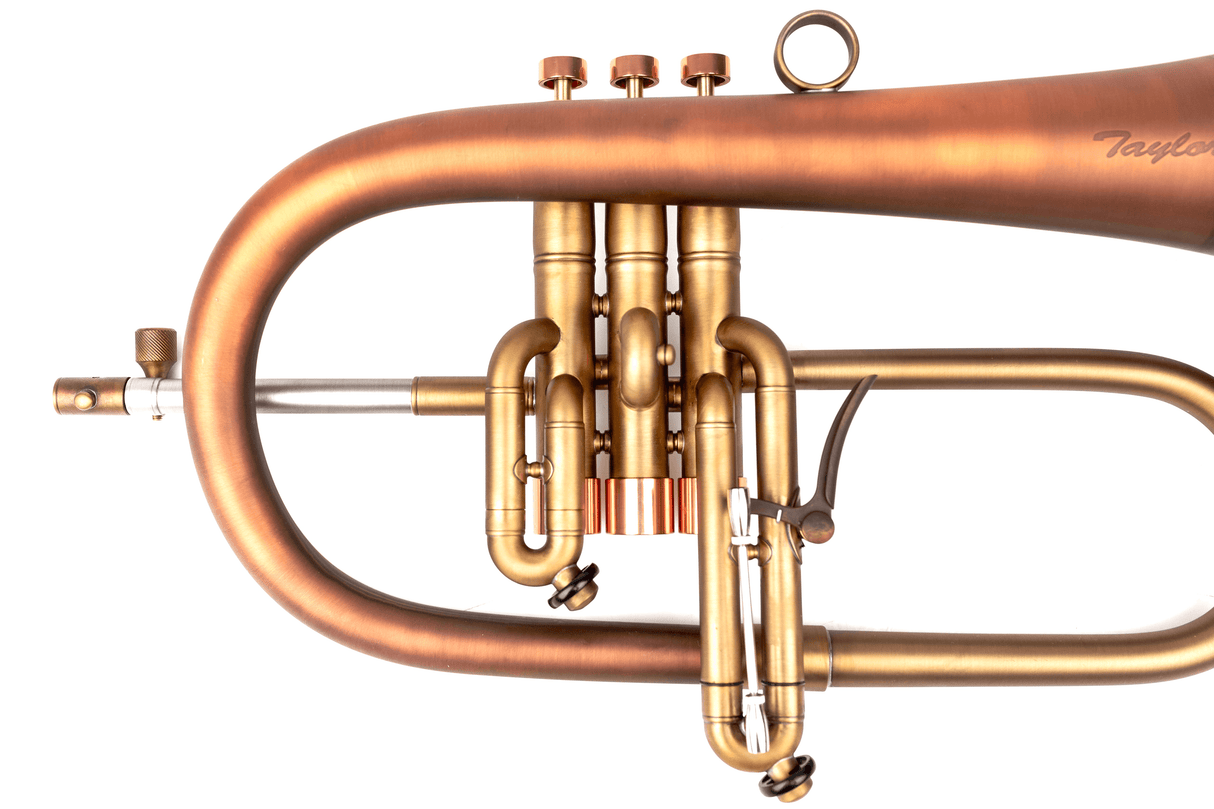 KGUmusic-Taylor flugelhorn, detailed view.