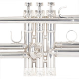 3D Flamer Heavy Trim Kit + Flamer Trumpet Mouthpiece Booster