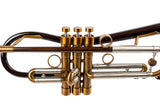 Yamaha YTR-800 Custom Trumpet with bronze Euro Bell | KGUmusic