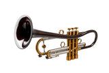 Yamaha YTR-800 Custom Trumpet with bronze Euro Bell | KGUmusic