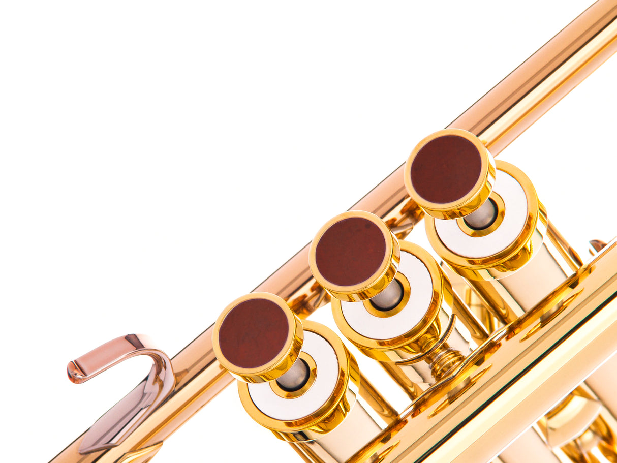 Trumpet LIGHT Trim kit. KGUmusic