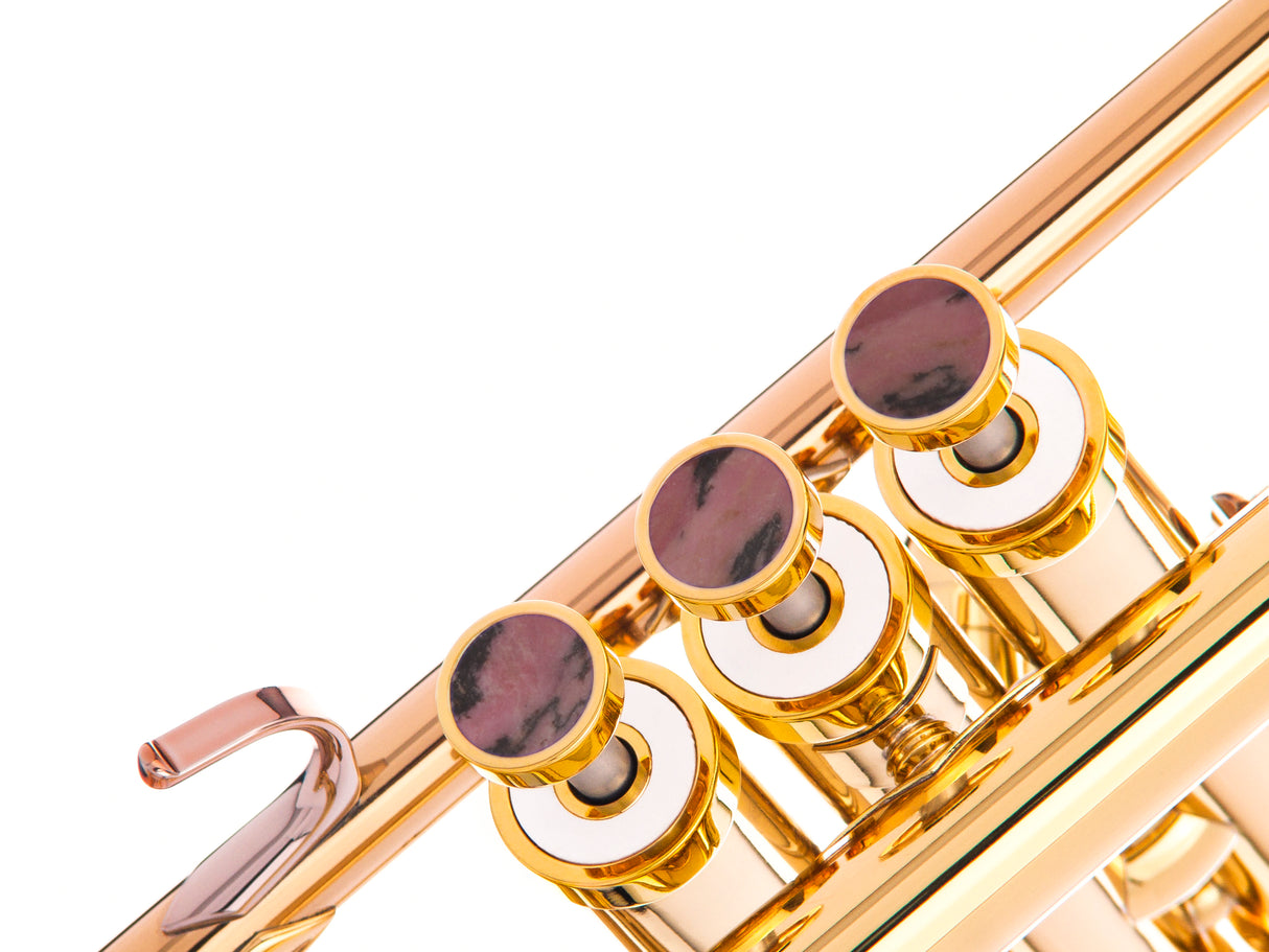 Trumpet LIGHT Trim kit. KGUmusic