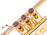 Trumpet MEDIUM Trim kit. KGUmusic