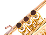 Trumpet LIGHT Trim kit. KGUmusic