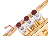 Trumpet LIGHT Trim kit. KGUmusic