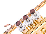 Trumpet LIGHT Trim kit. KGUmusic