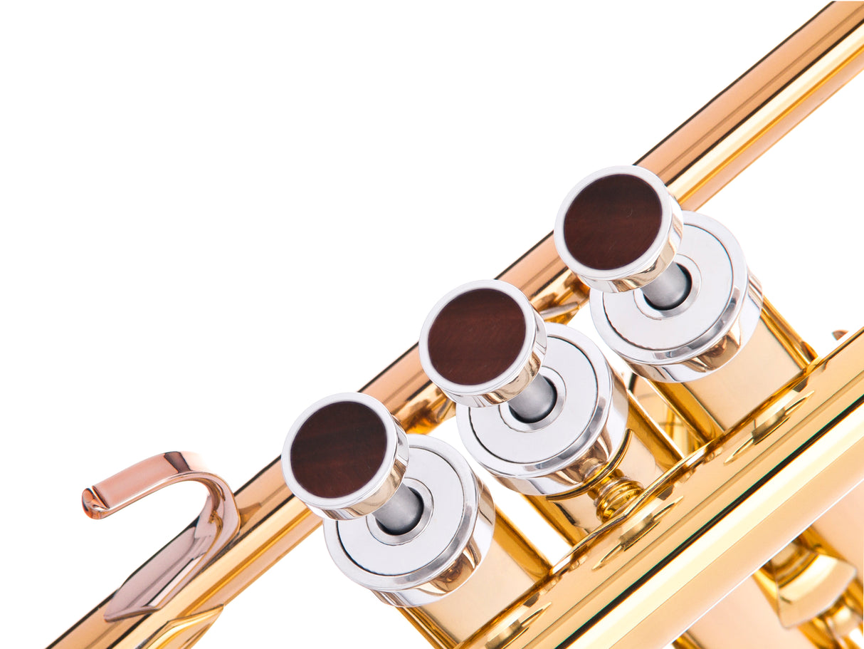 Trumpet LIGHT Trim kit. KGUmusic