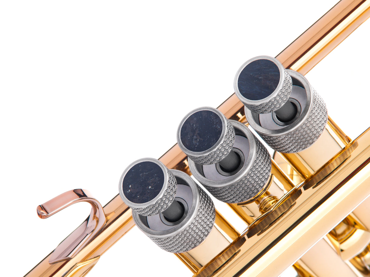 Trumpet Dragon ARTISTIC series Trim Kit. KGUmusic