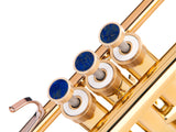 Trumpet LIGHT Trim kit. KGUmusic