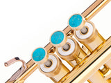 Trumpet LIGHT Trim kit. KGUmusic