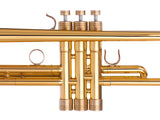 Trumpet SPECIAL V6 Trim Kit. KGUmusic