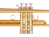 Trumpet SPECIAL EDGE Trim Kit. KGUmusic