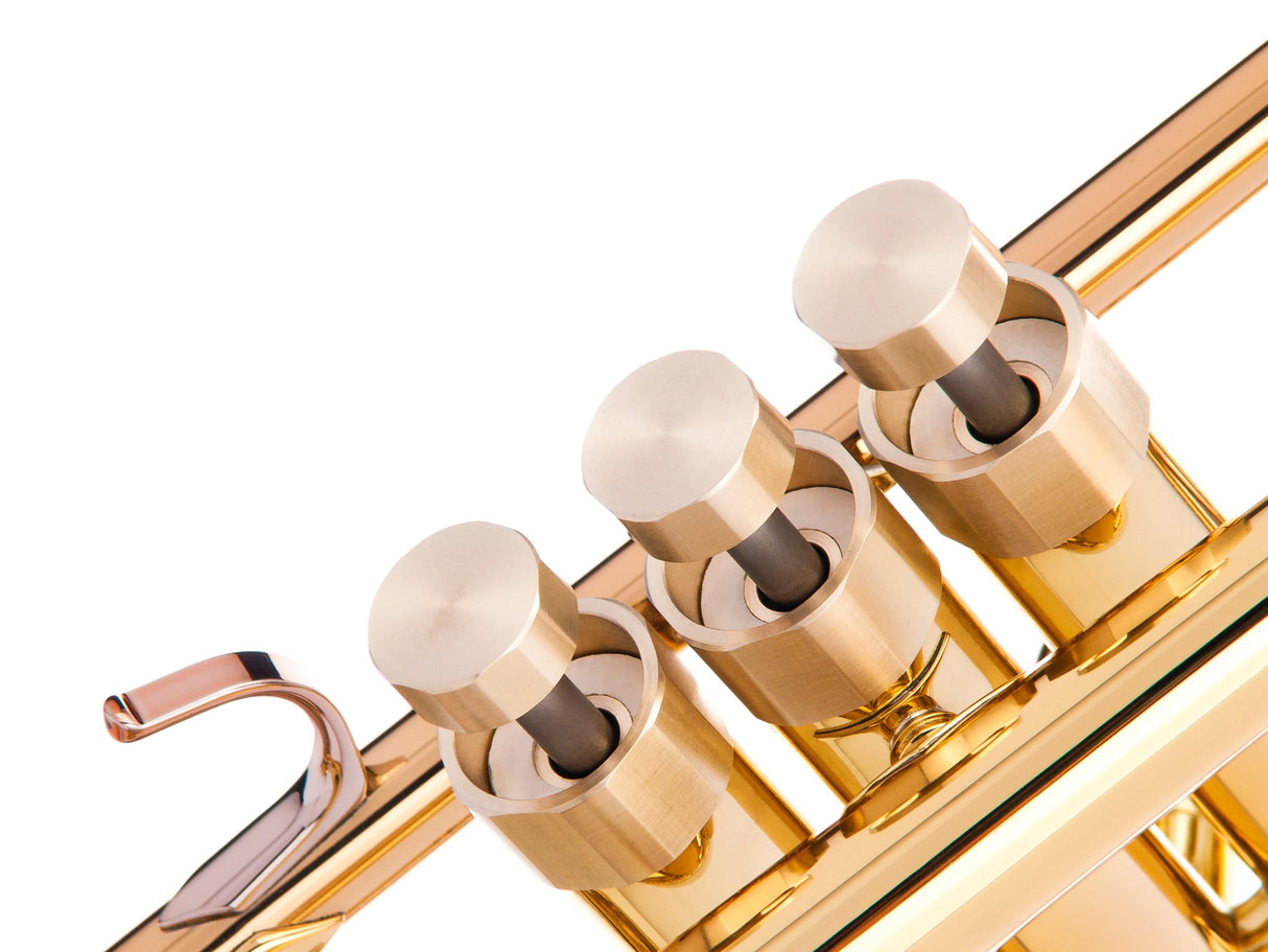 Trumpet SPECIAL EDGE Trim Kit. KGUmusic