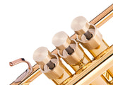 Trumpet SPECIAL EDGE Trim Kit. KGUmusic
