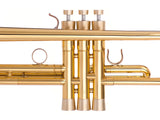 Trumpet SPECIAL CONE Trim Kit. KGUmusic