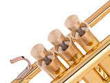Trumpet SPECIAL CONE Trim Kit. KGUmusic