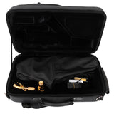 Shelter Bag for Alto, Tenor, Soprano Curved Saxophone | KGUmusic