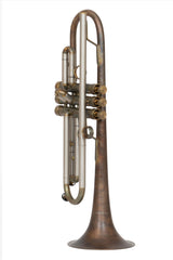 KGUmusic RS trumpet with Taylor french bell