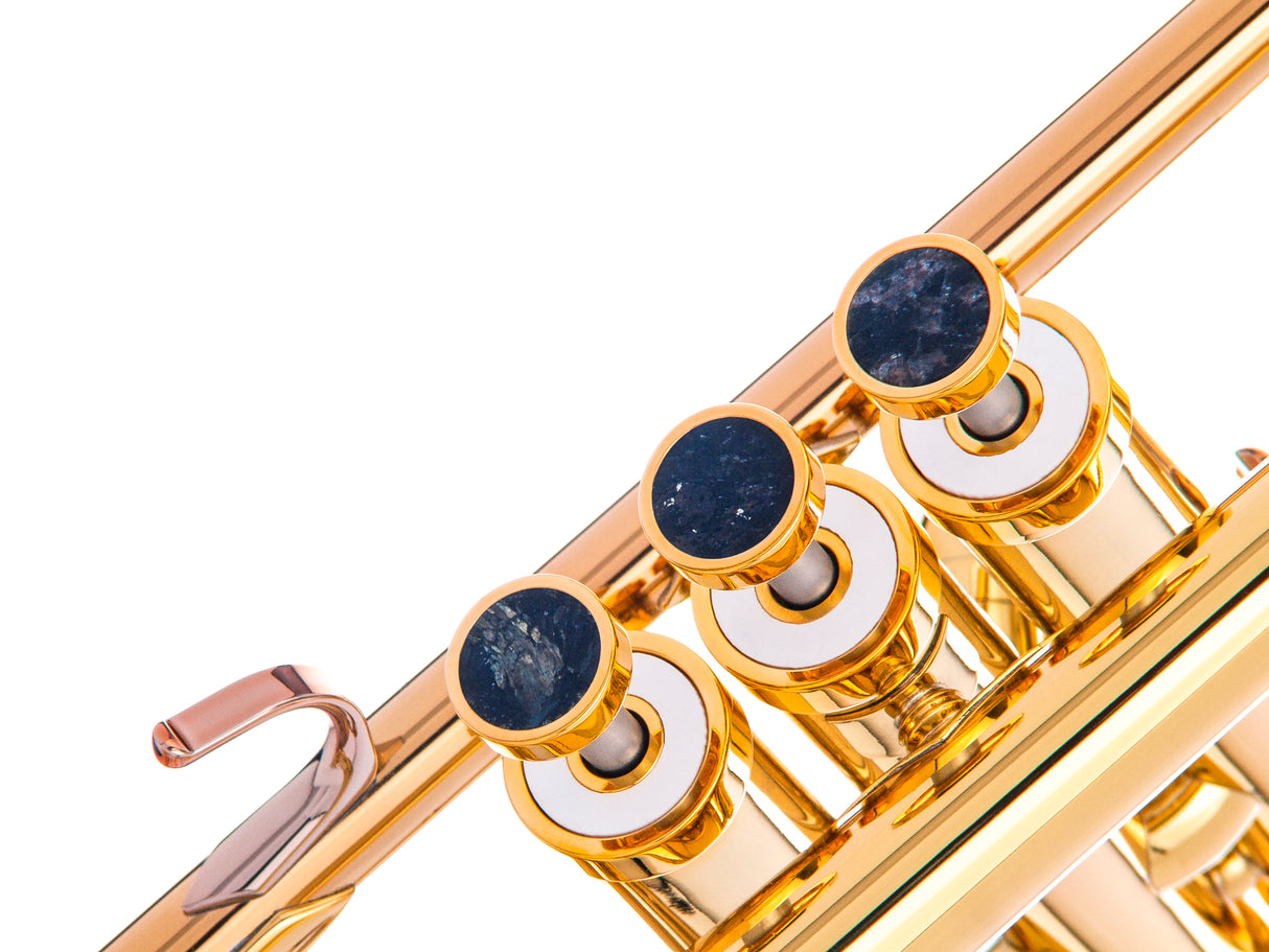 Trumpet LIGHT Trim kit. KGUmusic